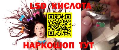 a pvp Краснознаменск