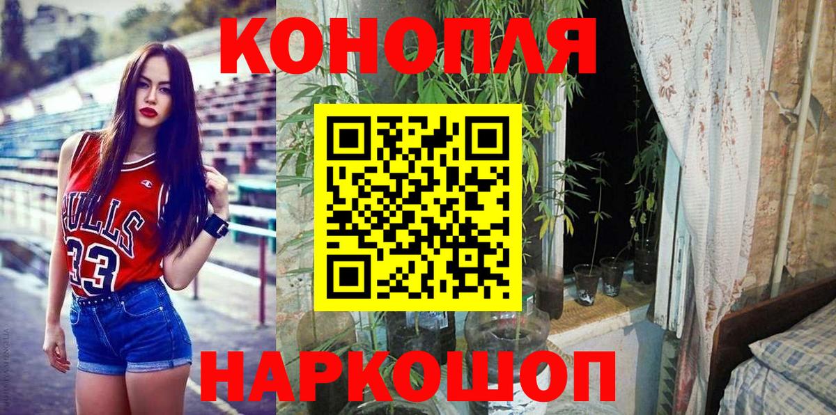 МАРИХУАНА план  Канабис сатива  Вход с VPN  Вольск  Бошки марихуана THC 21% 